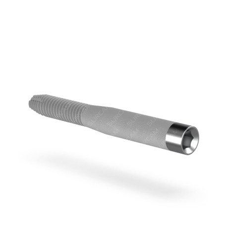 Zygomatic Implant