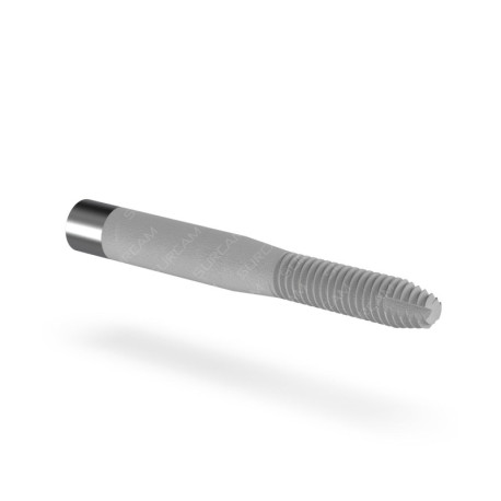 Zygomatic Implant