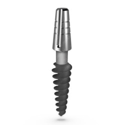 Compressive Implant