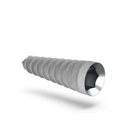 A-Type Implant