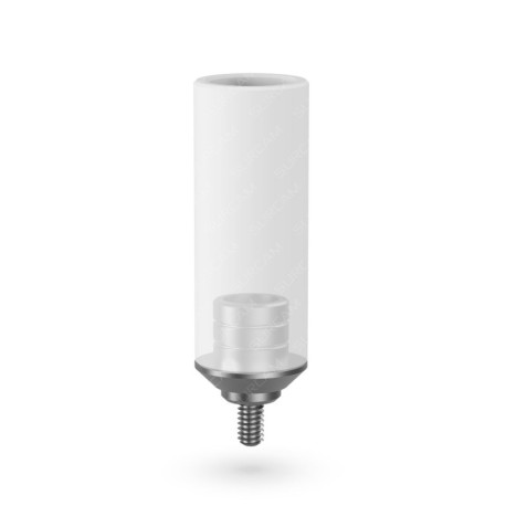Rotational Chrome Cobalt Plastic Abutment