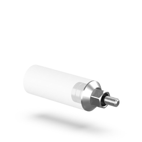 Chrome Cobalt Plastic Abutment