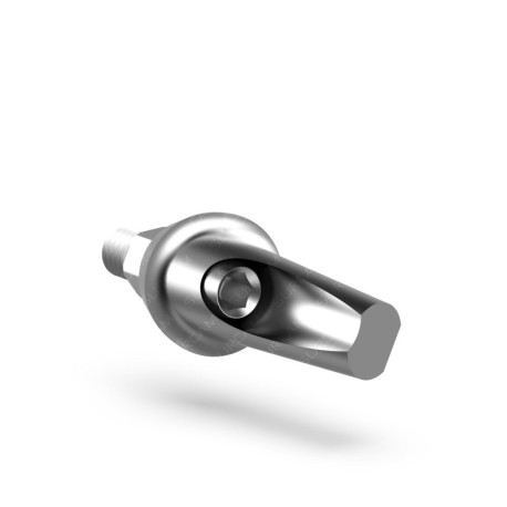 Angular Aesthetic Abutment