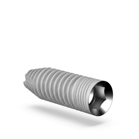 C-Type Implant