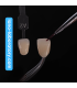 Paste Stain Glaze 4g