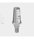 Cemented Abutments
